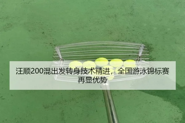 wang-shun-hun-chu-fa-zhuan-shen-ji-shu-jing-jin-quan-guo-you-yong-jin-biao-sai-zai-xian-you-shi-3-568.jpg